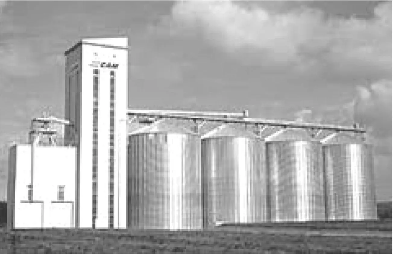 Fig 44 Dry bean receiving and storage elevator Fig 45 - фото 28