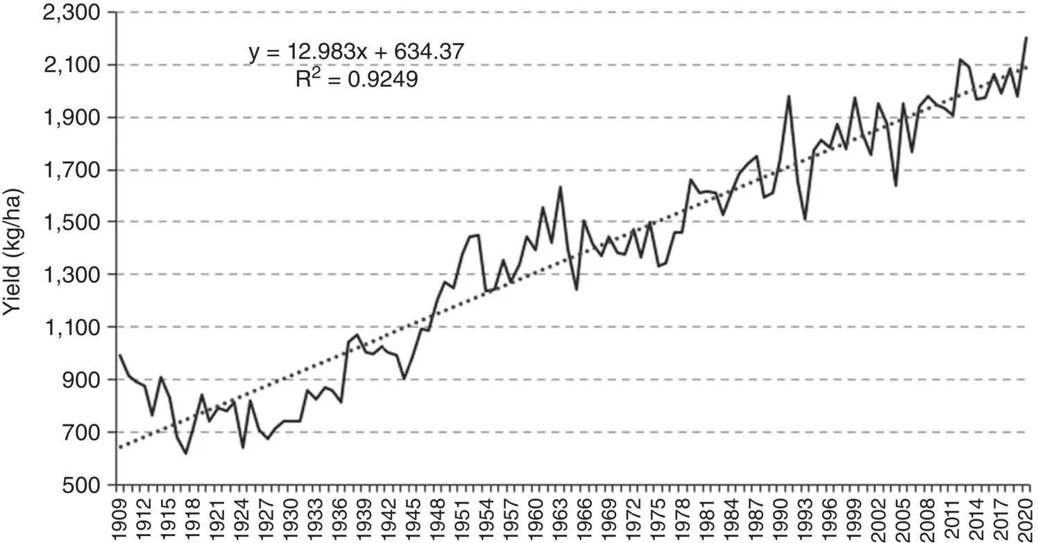 Fig 22 Dry Bean yields kgha in the US over 110 years since 1909 Source - фото 12