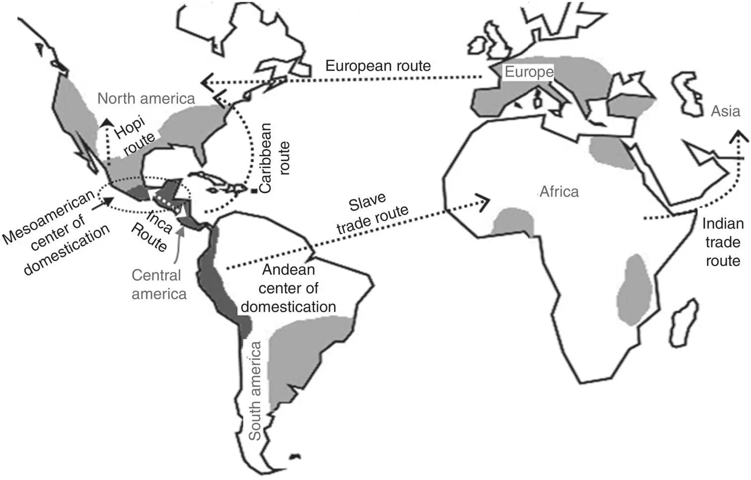 Fig 31 Dry beans dispersal and trade routes Source Adapted from Schuchert - фото 18