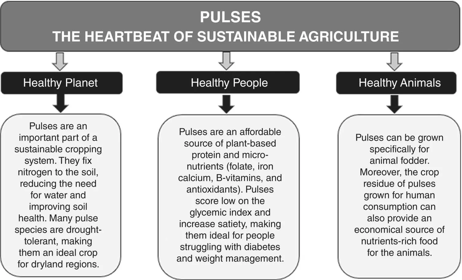 Fig 17 Pulses as environmentally sustainable food source for healthy people - фото 8