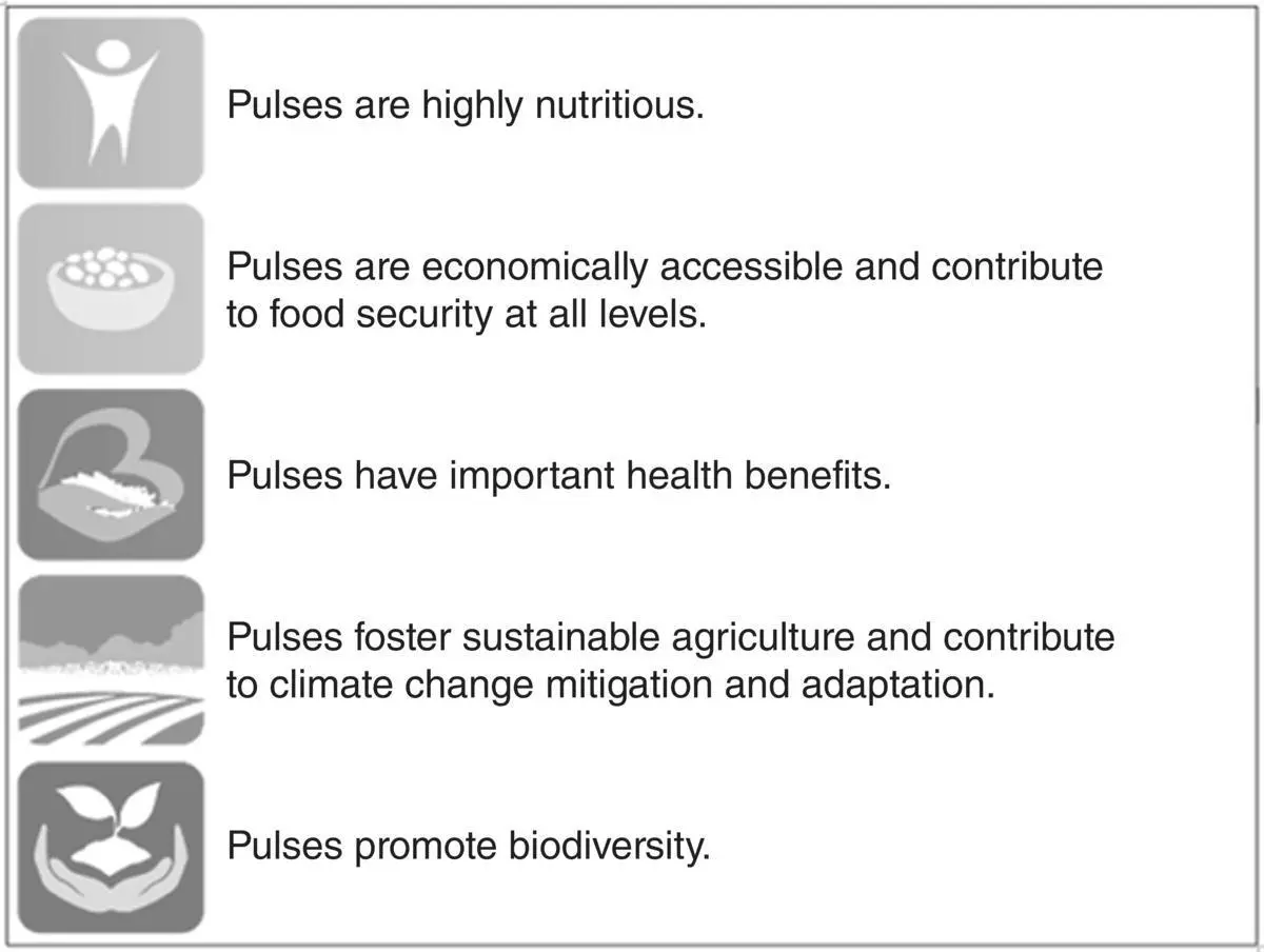 Fig 18 Nutritious pulses for sustainable future key messages Source IYP - фото 9