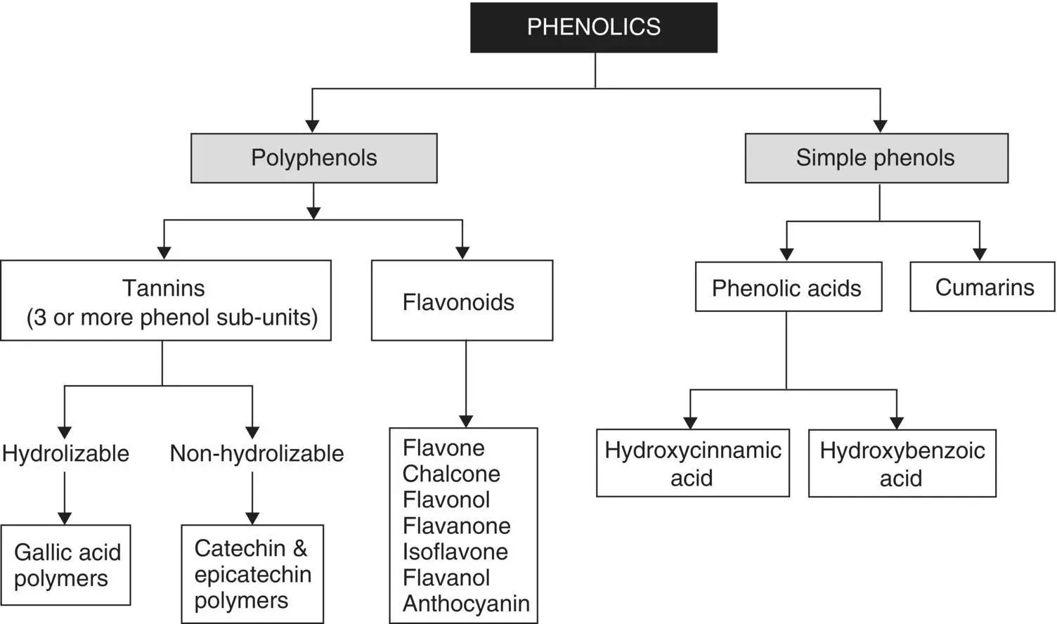 Fig 37 General classification of phenolic compounds Source Adapted from - фото 24