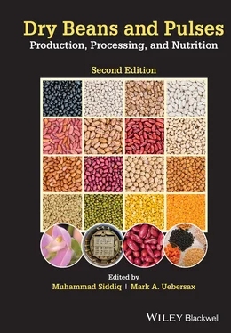 Неизвестный Автор Dry Beans and Pulses Production, Processing, and Nutrition обложка книги
