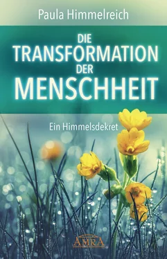Paula Himmelreich DIE TRANSFORMATION DER MENSCHHEIT обложка книги