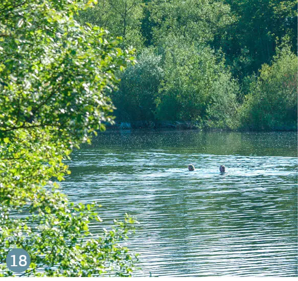 18 Étangs de Hollande Tief in den Wäldern von Rambouillet gibt es sechs - фото 81