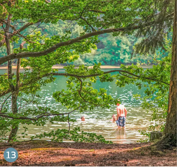 13 étang de moussuette Randonnai Sehr einsamer See im Wald Warmes Wasser - фото 68