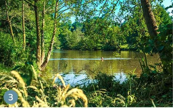 3 PontdOuilly Sonniger Picknickplatz am Fluss oberhalb des Stauwehrs beim - фото 42