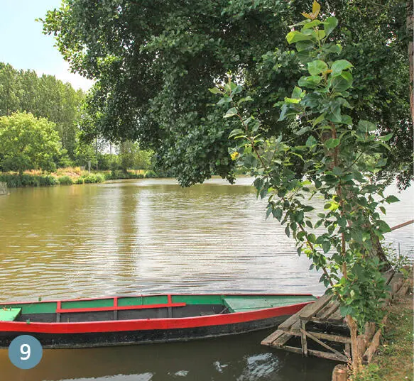 9 parcésursarthe Ruhiger gepflegter Picknickplatz am Fluss mit Bootsrampe - фото 260