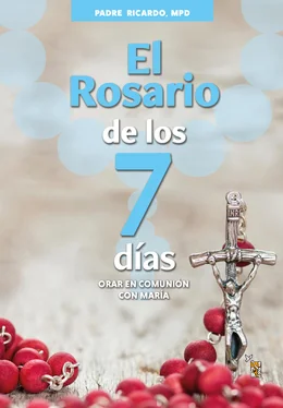 Padre Ricardo El Rosario de los 7 días обложка книги