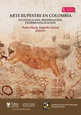 Manuel Romero Raffo Arte Rupestre en Colombia. обложка книги