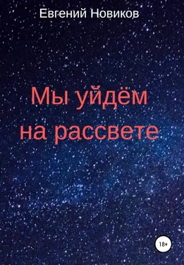 Евгений Новиков Мы уйдём на рассвете обложка книги