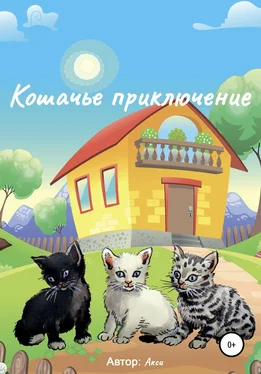 Сергей Акси Кошачье приключение обложка книги