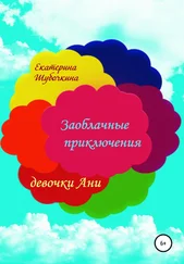 Екатерина Шубочкина - Заоблачные приключения девочки Ани
