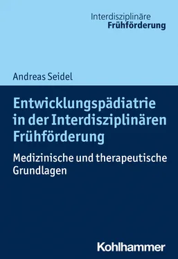 Andreas Seidel Entwicklungspädiatrie in der Interdisziplinären Frühförderung обложка книги