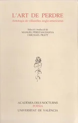 Manuel Pérez Saldanya - L'art de perdre