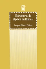 Joaquín Olivert Pellicer - Estructuras de álgebra multilineal