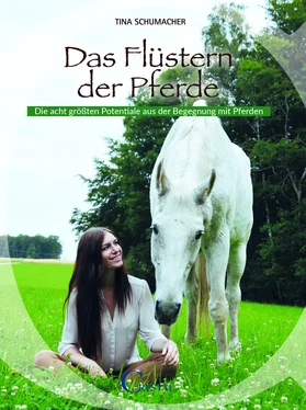 Tina Schumacher Das Flüstern der Pferde обложка книги