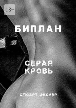 Стюарт Экслер Серая кровь. Биплан обложка книги