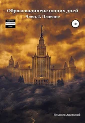 Анатолий Ялышев - Образовалипсис Наших Дней. Книга I. Падение