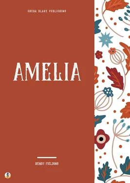 Sheba Blake Amelia обложка книги