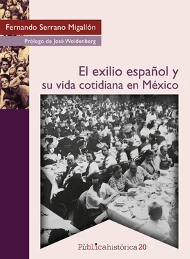 Fernando Serrano Migallón El exilio español y su vida cotidiana en México обложка книги