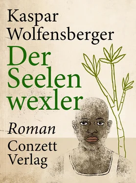 Kaspar Wolfensberger Der Seelenwexler обложка книги