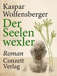 Kaspar Wolfensberger - Der Seelenwexler