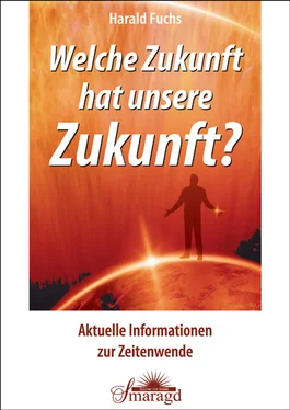 Harald Fuchs Welche Zukunft hat unsere Zukunft? обложка книги