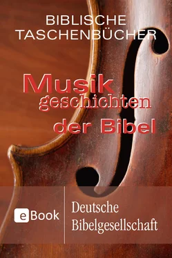 Stephan A. Reinke Musikgeschichten der Bibel обложка книги