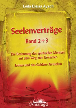 Leila Eleisa Ayach Seelenverträge Band 2 + 3 обложка книги