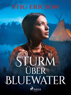 Stig Ericson Sturm über Bluewater обложка книги