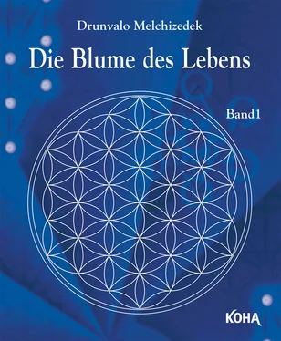 Drunvalo Die Blume des Lebens обложка книги