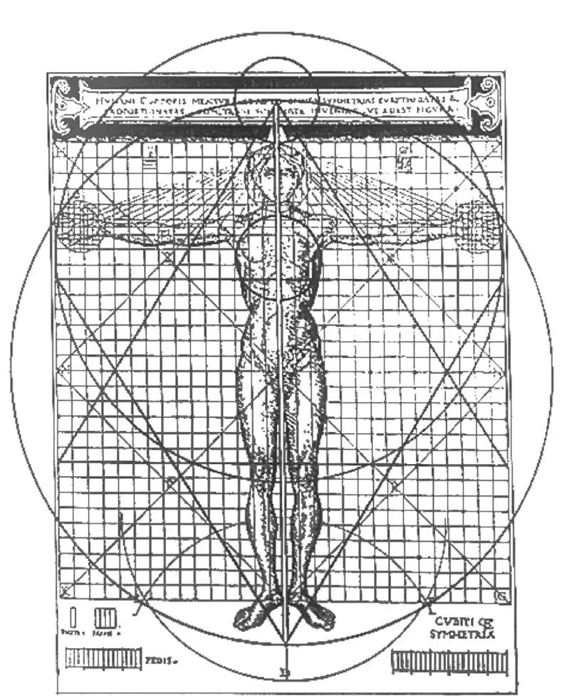 Vitruvs Normalform mit heiliger geometrischer Figur der Blume des Lebens - фото 3