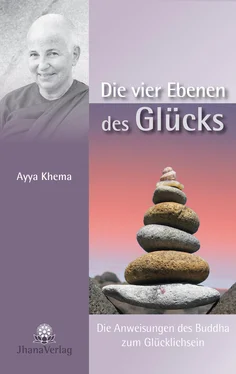 Ayya Khema Die vier Ebenen des Glücks обложка книги