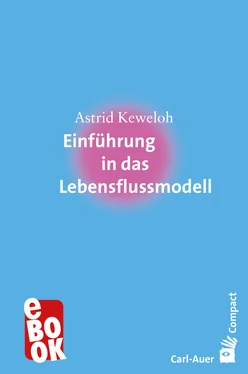 Keweloh Astrid Einführung in das Lebensflussmodell обложка книги