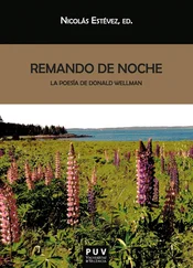 Donald Wellman - Remando de noche