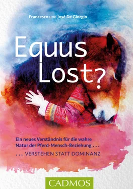 Francesco De Giorgio Equus Lost? обложка книги