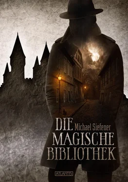 Michael Siefener Die magische Bibliothek обложка книги