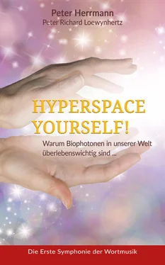 Peter Herrmann HYPERSPACE YOURSELF! обложка книги