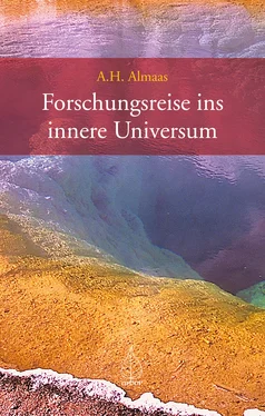 A H Almaas Forschungsreise ins innere Universum обложка книги