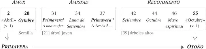 Se trata por tanto de una continuidad cíclica como la denomina Torres - фото 4