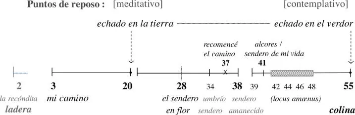 La meticulosa articulación de este vector al igual que veíamos en el anterior - фото 5
