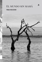 Pablo Melicchio - El mundo sin mamá