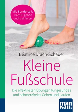 Béatrice Drach-Schauer Kleine Fußschule. Kompakt-Ratgeber обложка книги