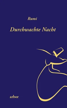 Rumi Durchwachte Nacht обложка книги