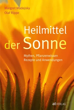Olaf Rippe Heilmittel der Sonne - eBook обложка книги