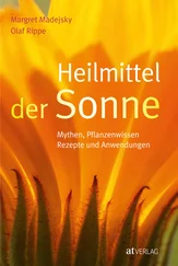 Olaf Rippe - Heilmittel der Sonne - eBook