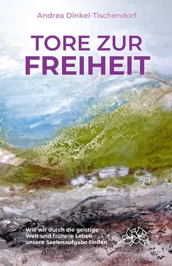 Andrea Dinkel-Tischendorf Tore zur Freiheit обложка книги