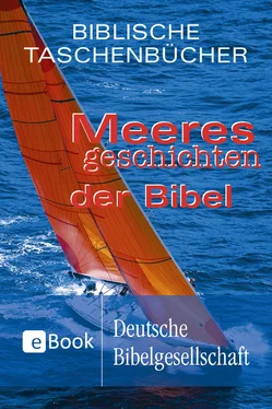 Неизвестный Автор Meeresgeschichten der Bibel обложка книги