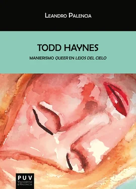 Leandro Palencia Galán Todd Haynes обложка книги